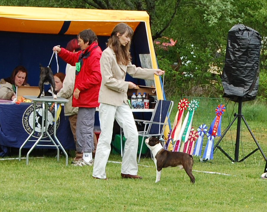 Bright And Brindle's Eternal Flame