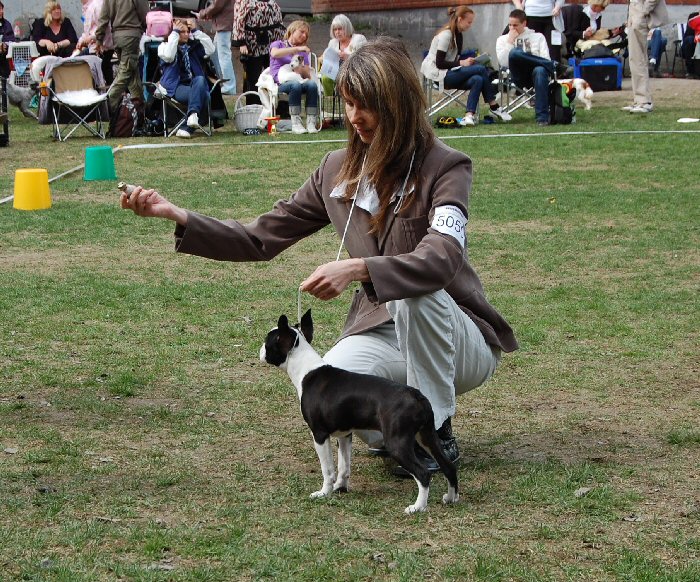 Bright & Brindle's Top Of The Line