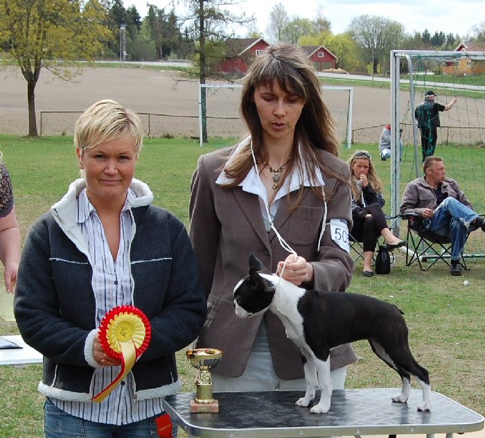 Bright & Brindle's Top Of The Line