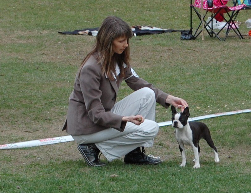 Bright & Brindle's Top Of The Line