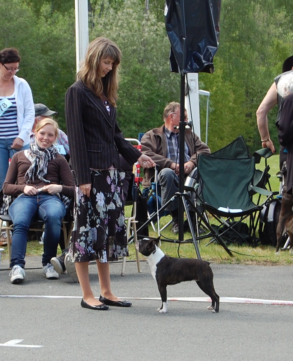 Chatojo's Candy at Bright & Brindle