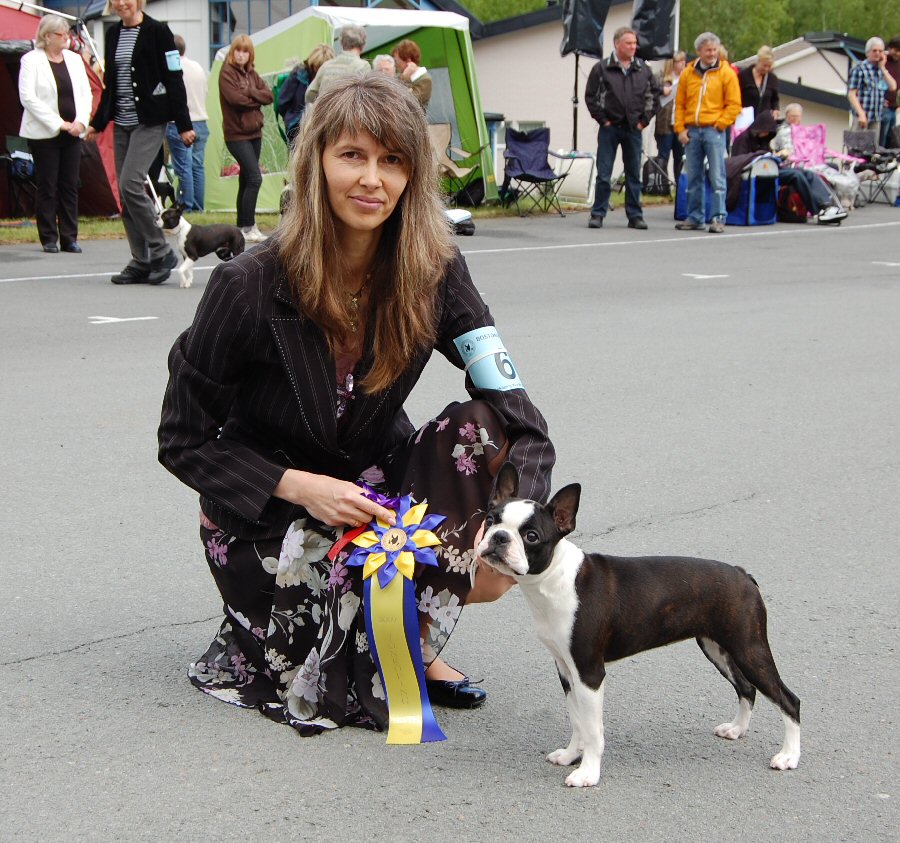 Bright & Brindle's Top Of The Line