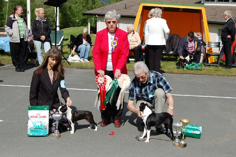 Bright & Brindle's Top Of The Line