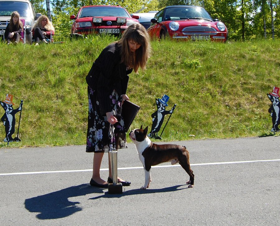 Ch Bright & Brindle's Eternal Flame